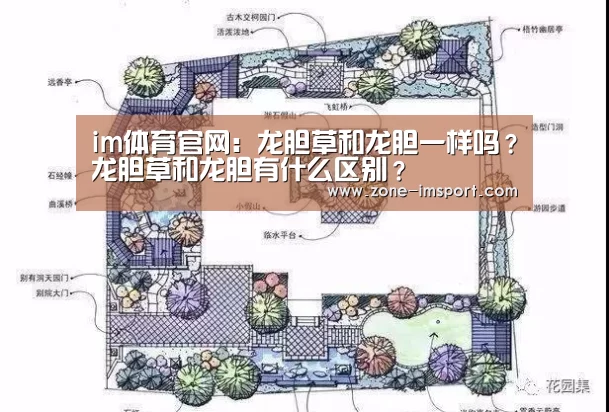 im体育官网:龙胆草和龙胆一样吗?龙胆草和龙胆有什么区别?(图1) im体育